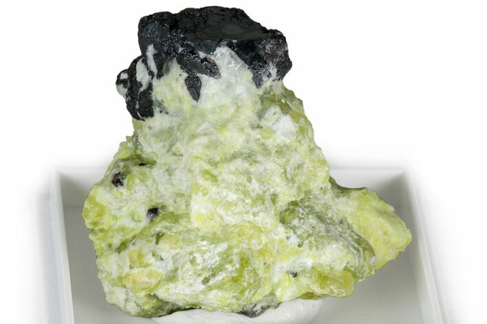 Hematite Crystals with Lizardite and Hydrotalcite - Norway #309631